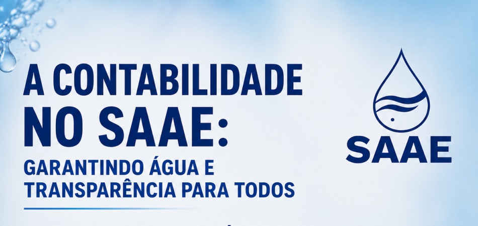 Contabilidade pública: transparência e responsabilidade no SAAE de Trombas